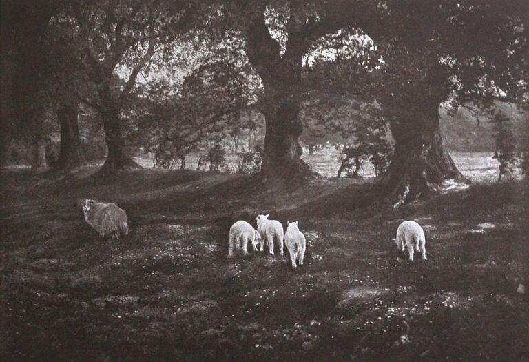 Pastorale Printanière