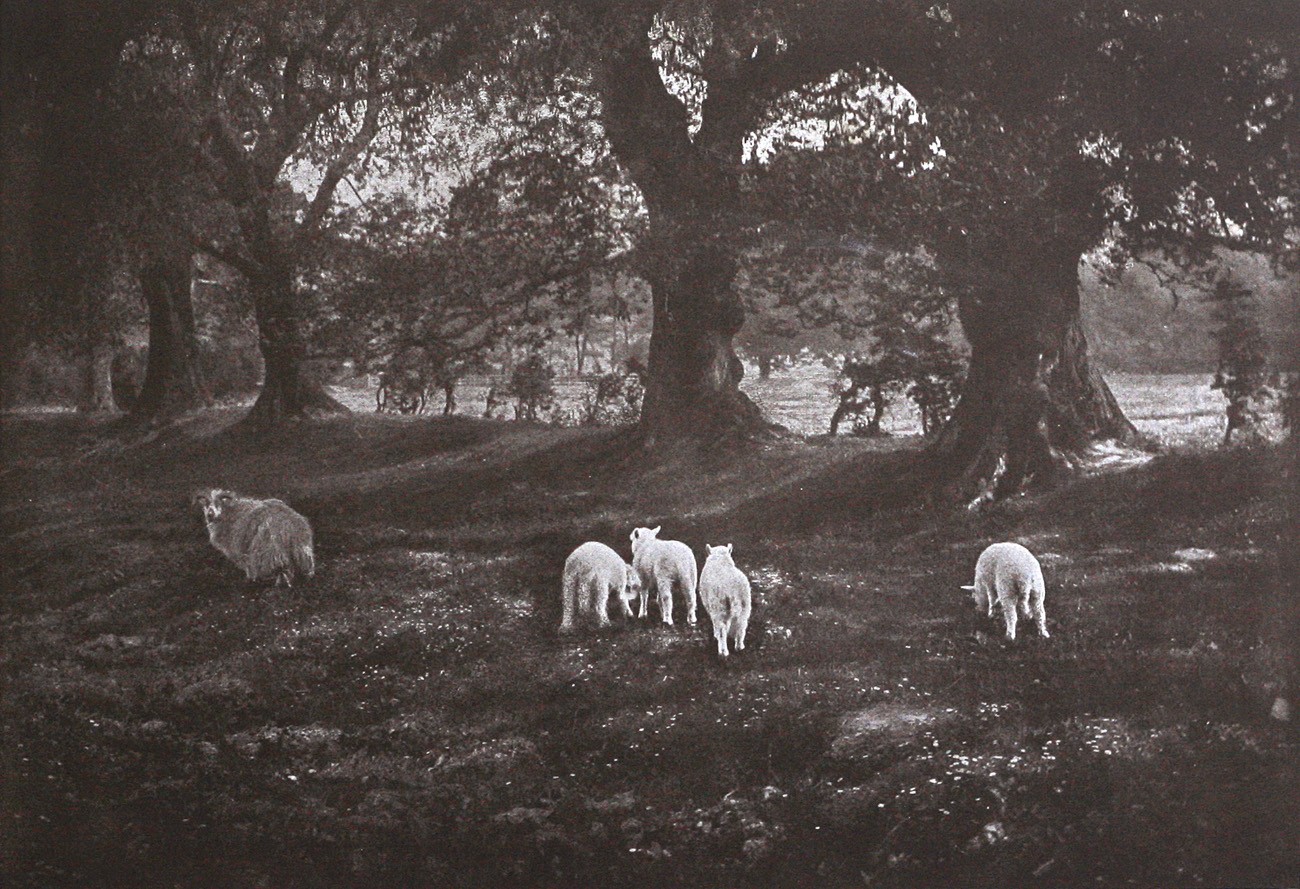 Pastorale Printanière