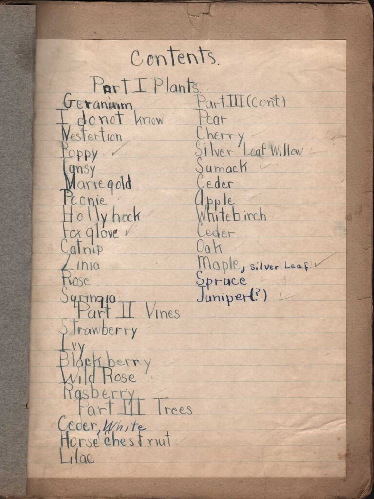 Contents Page: 1929 Blue Prints Album
