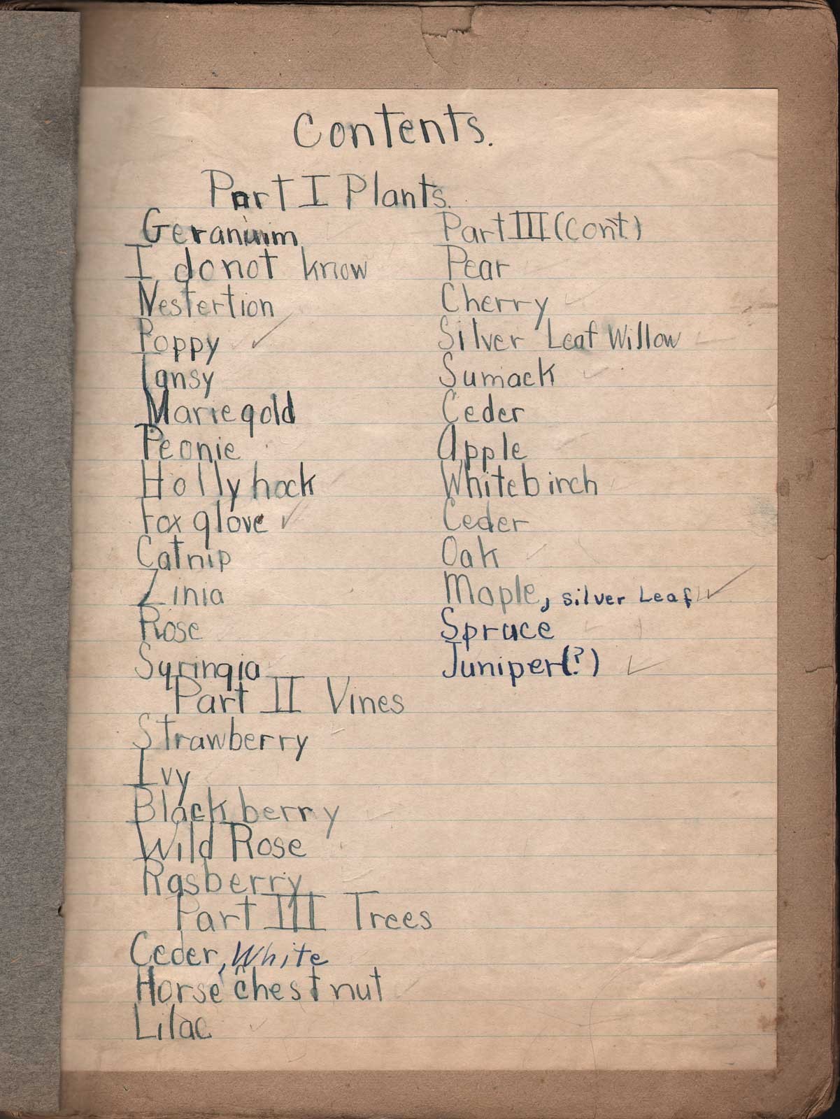 Contents Page: 1929 Blue Prints Album