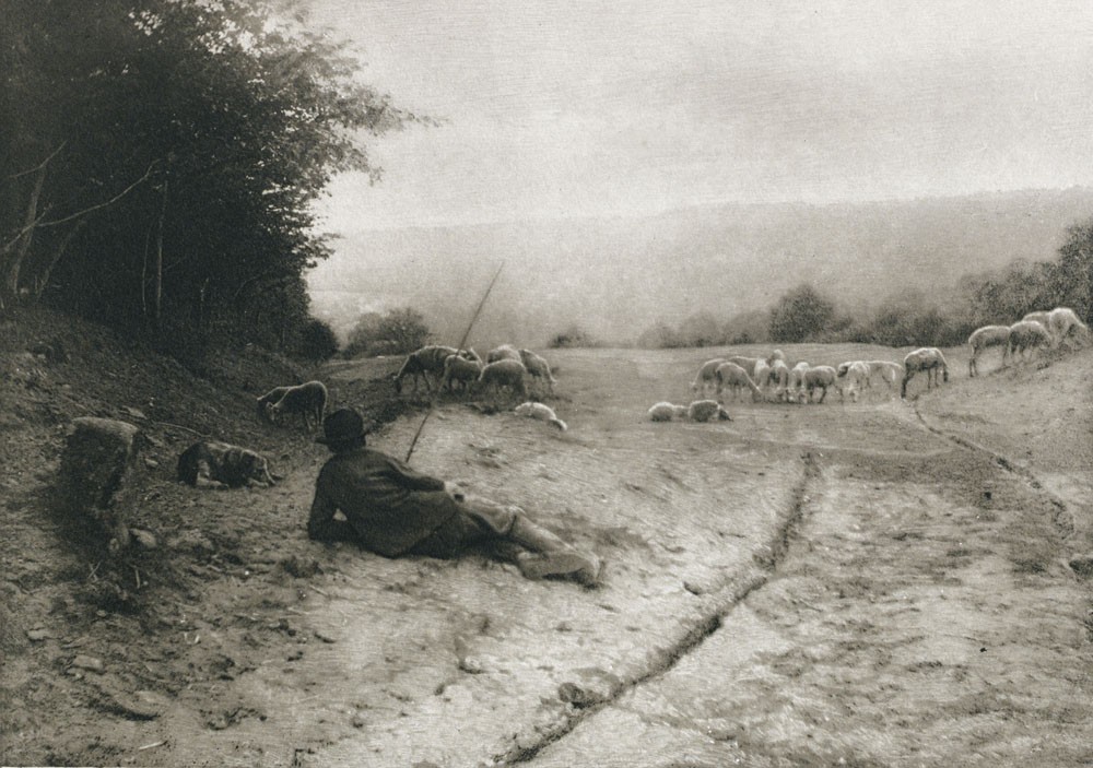 Matinée de mai, en Morvan