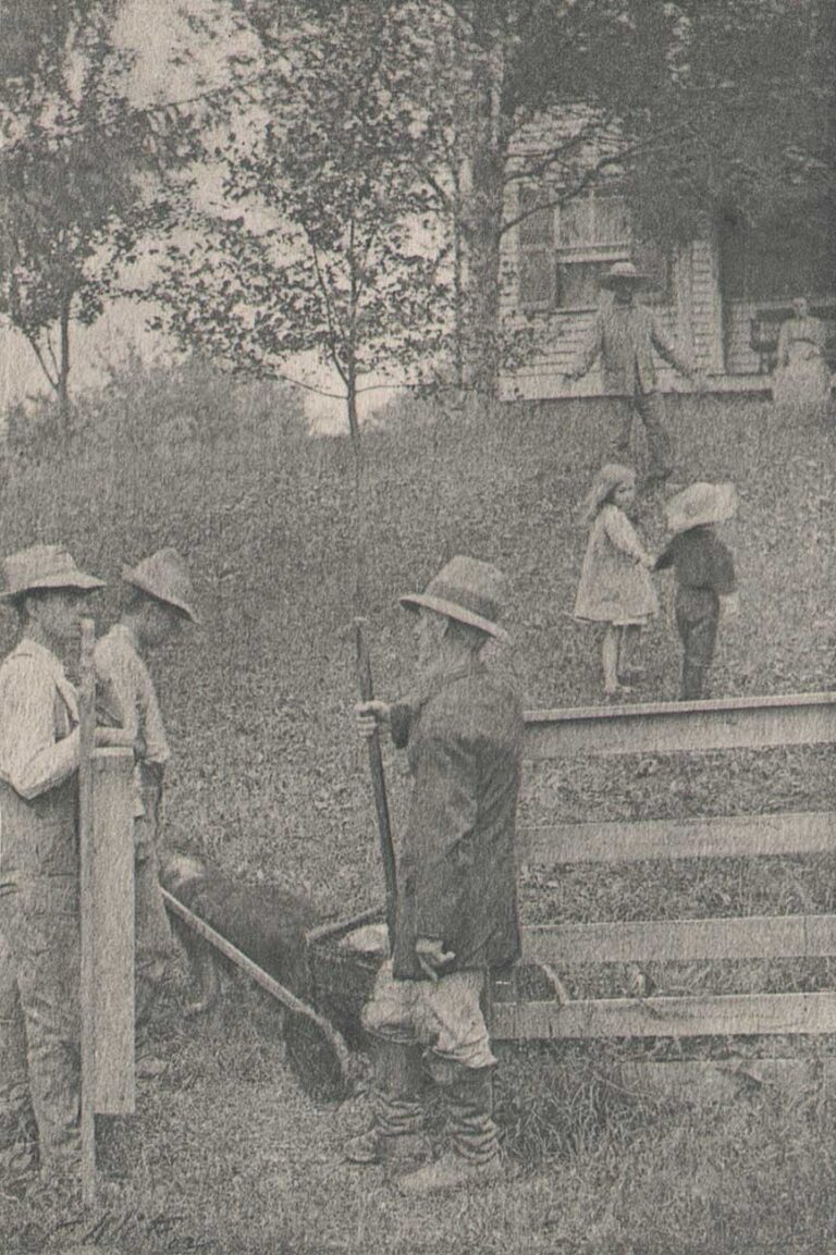 When we turned in at David Brower’s