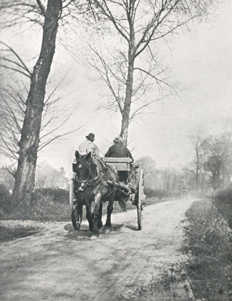En route pour le Marché