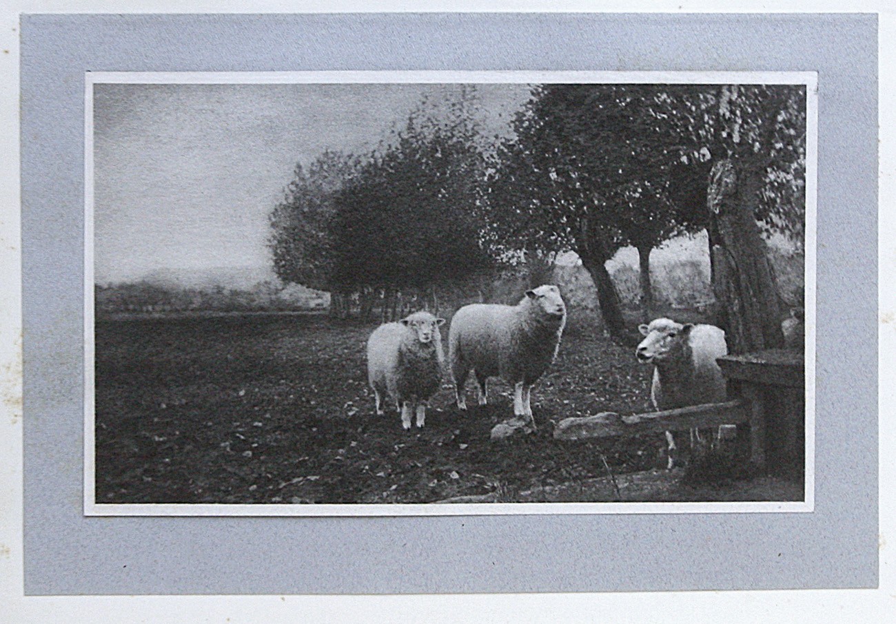 Paysage de Normandie