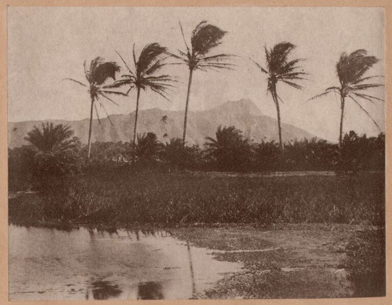 Diamond Head | Lēʻahi