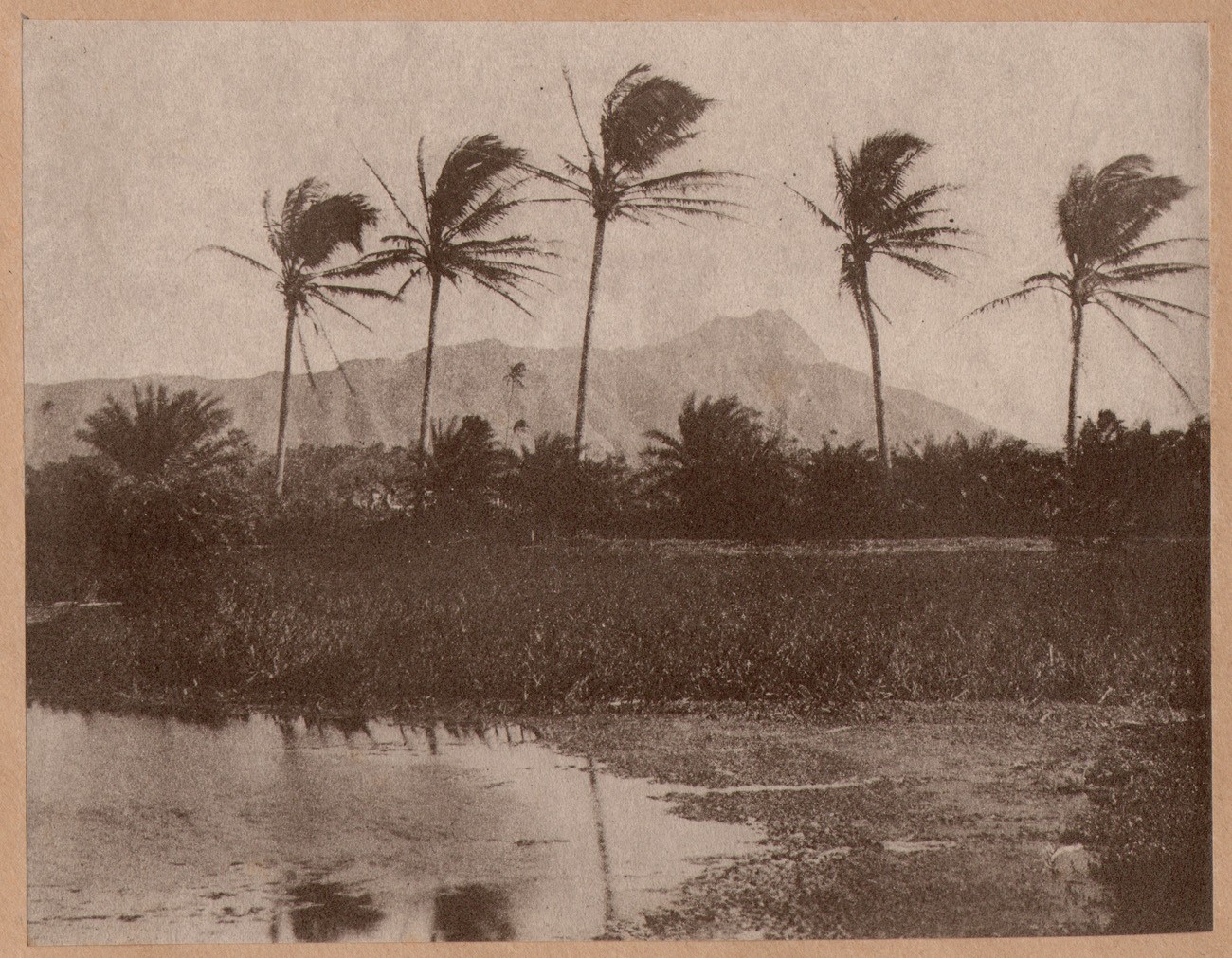 Diamond Head | Lēʻahi