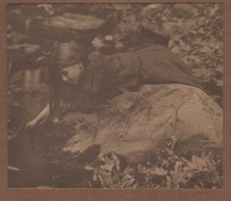 Dorothy Tucker Gathering Ferns