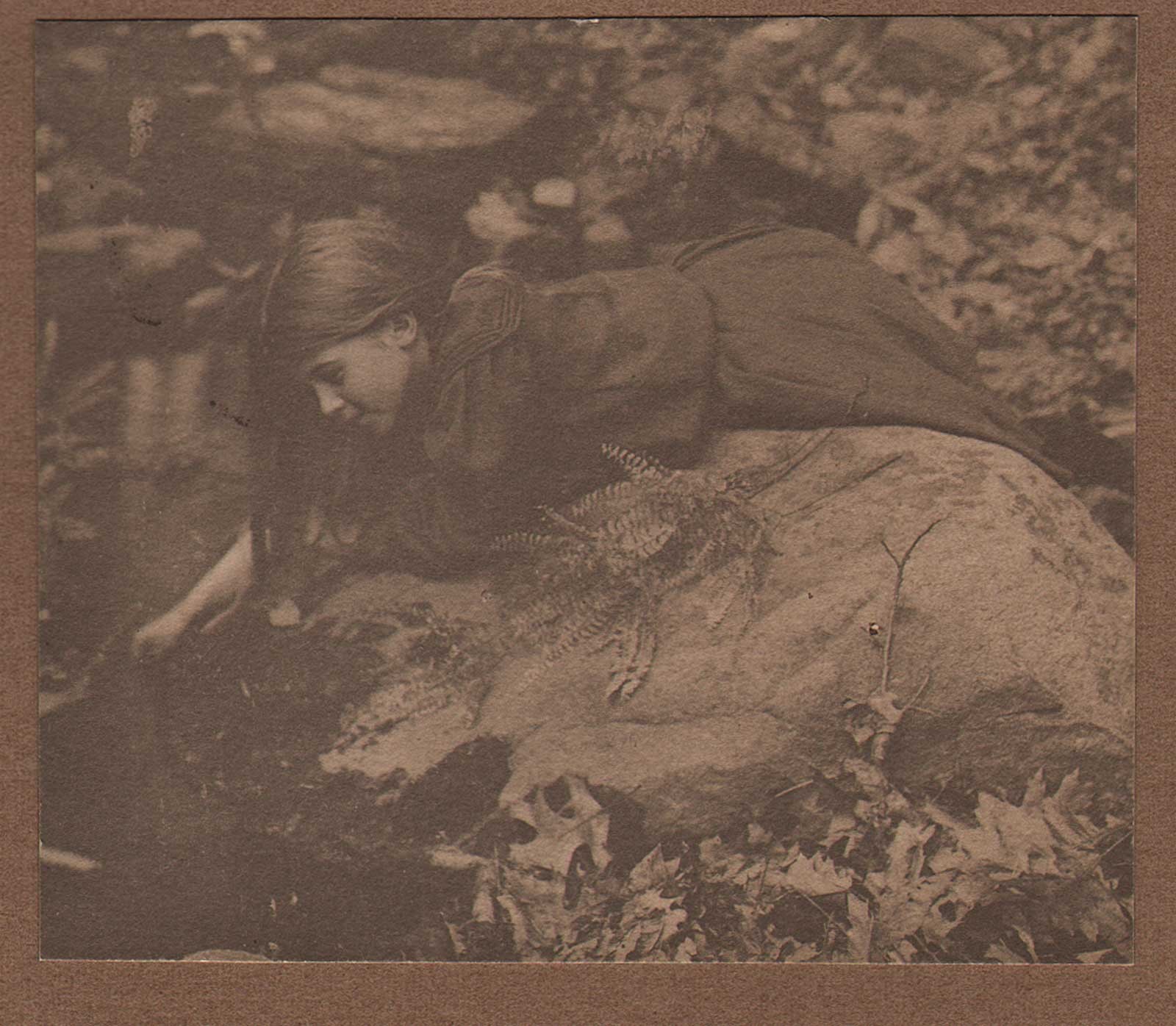 Dorothy Tucker Gathering Ferns