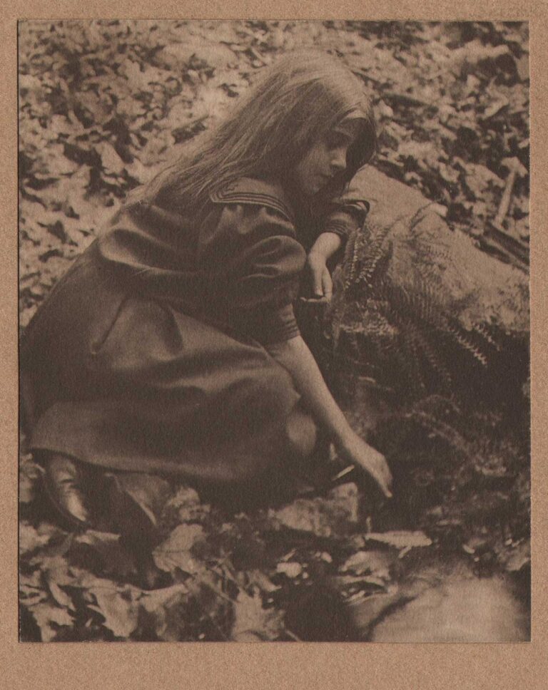 Dorothy Tucker Gathering Ferns