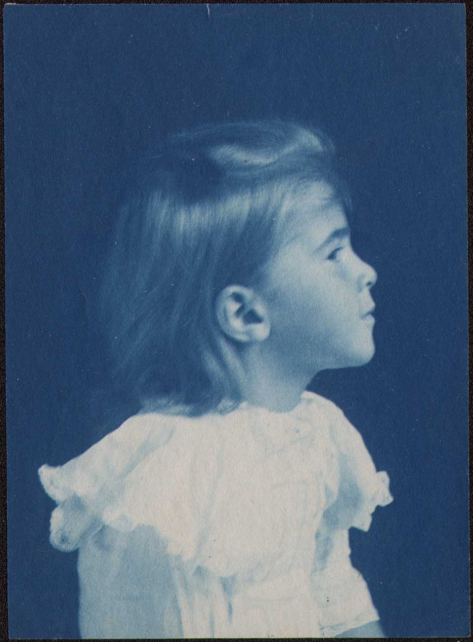 Dorothy Tucker Profile