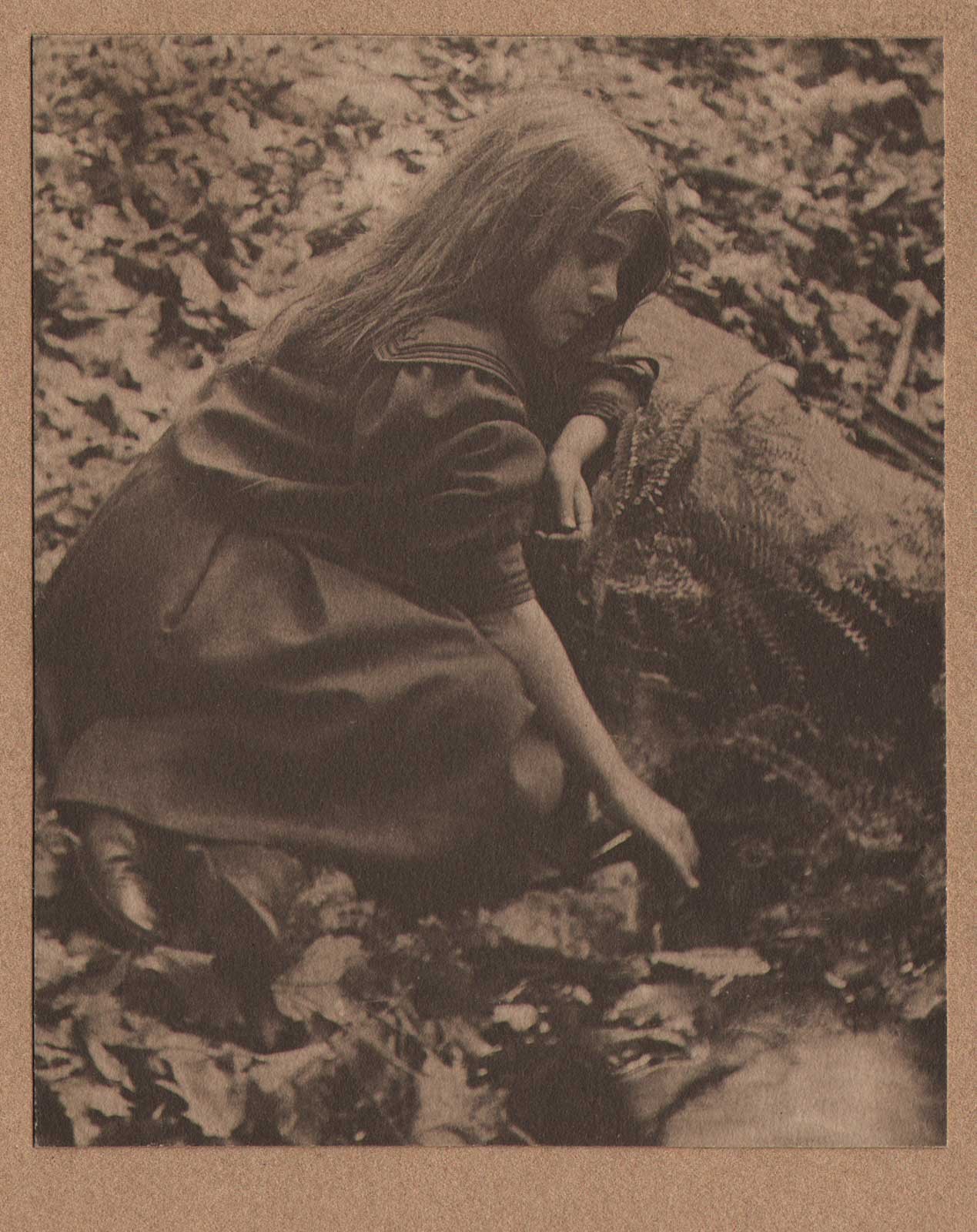 Dorothy Tucker Gathering Ferns