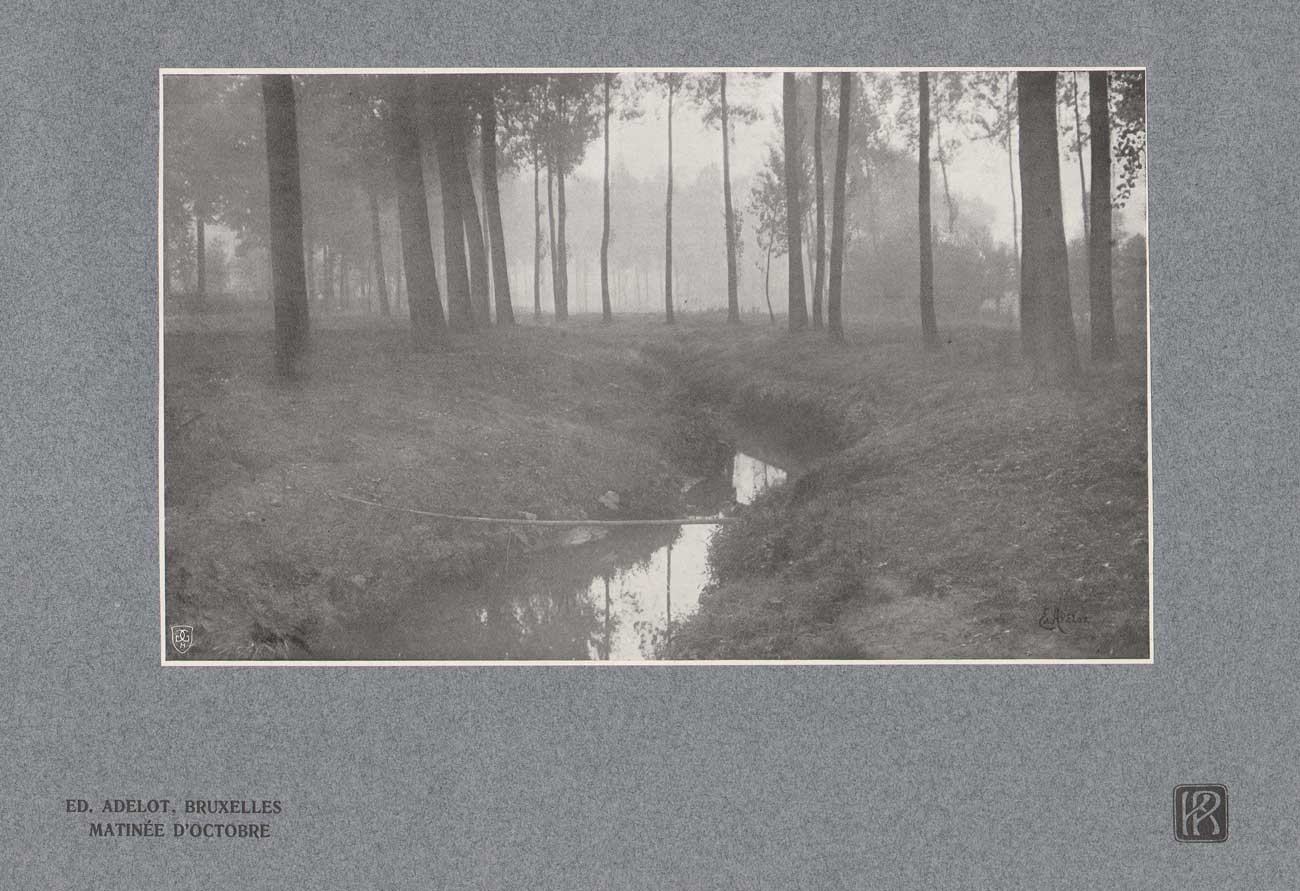 Matinée D’Octobre