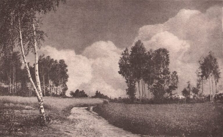 Untitled Landscape with Birch Trees