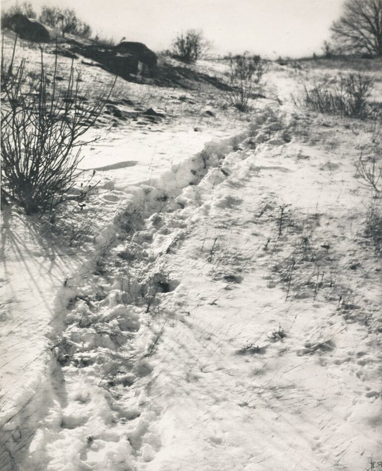 The Path through the Sheep Pasture