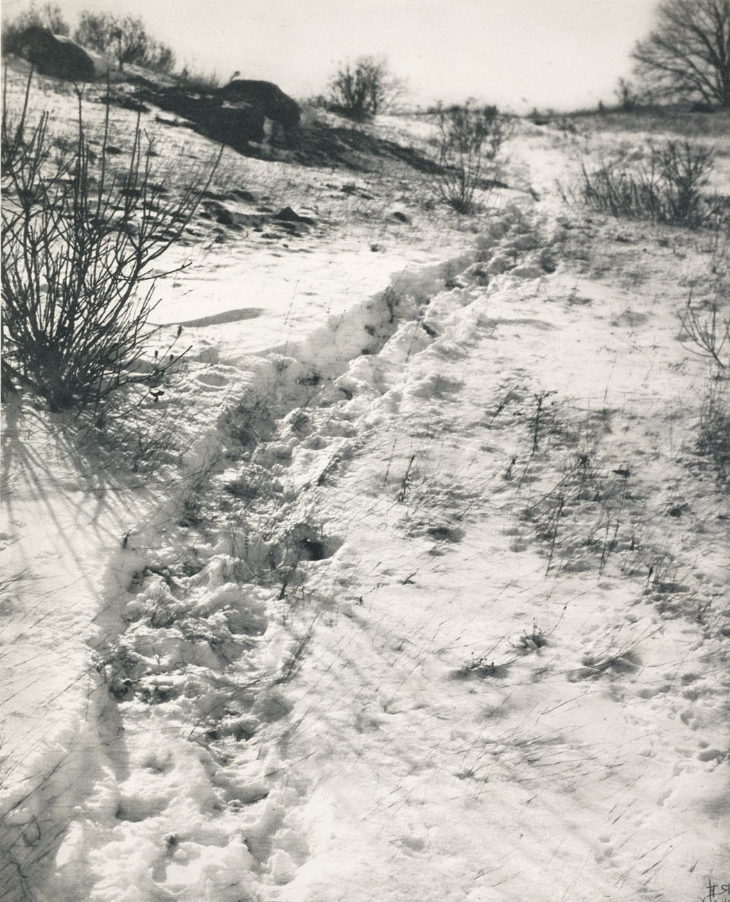 The Path through the Sheep Pasture