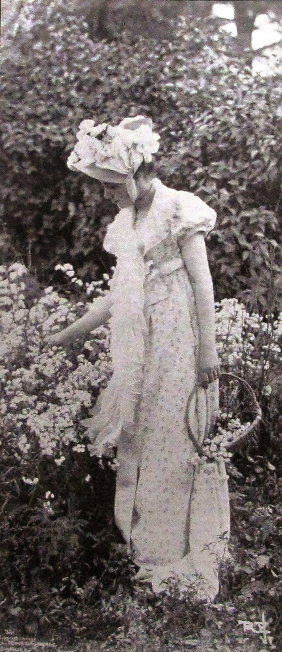 The Old Fashioned Garden