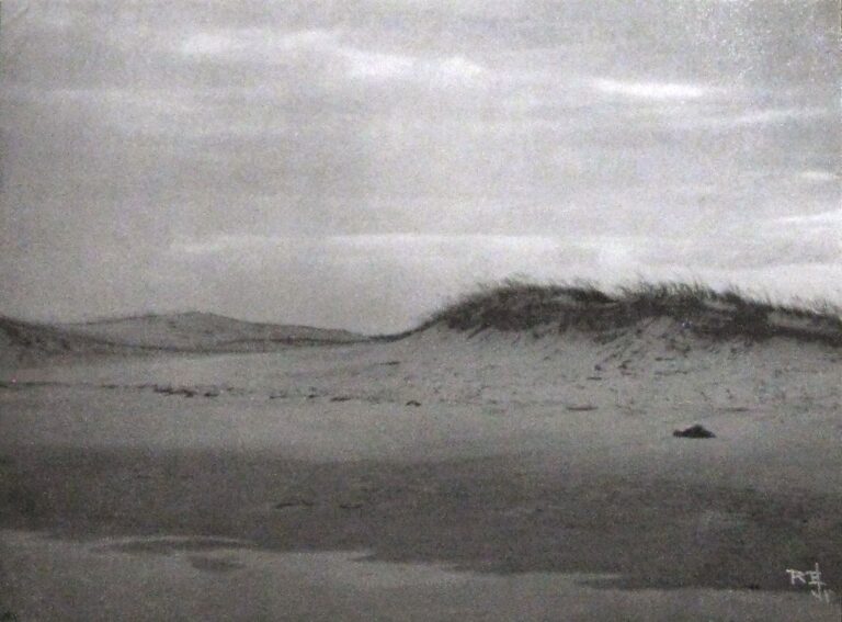 Dünen an der Küste von Jersey