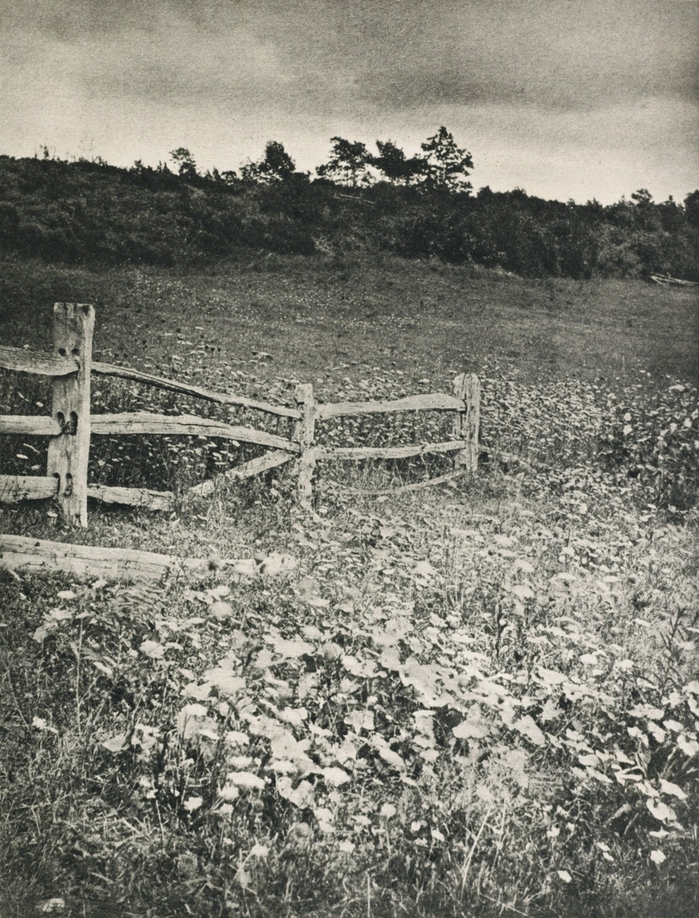 Aufnahmen von Rudolf Eikemeyer Jr., New York