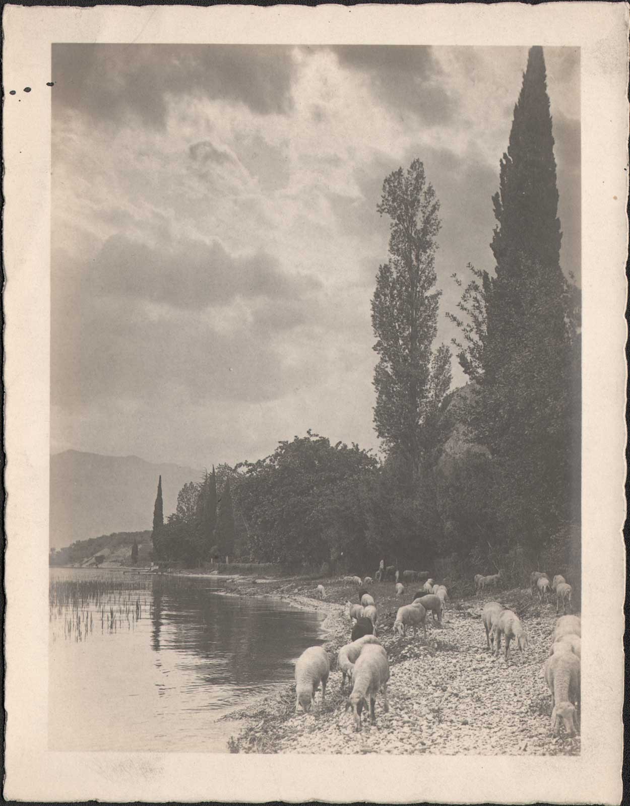 Evening by Lake Garda