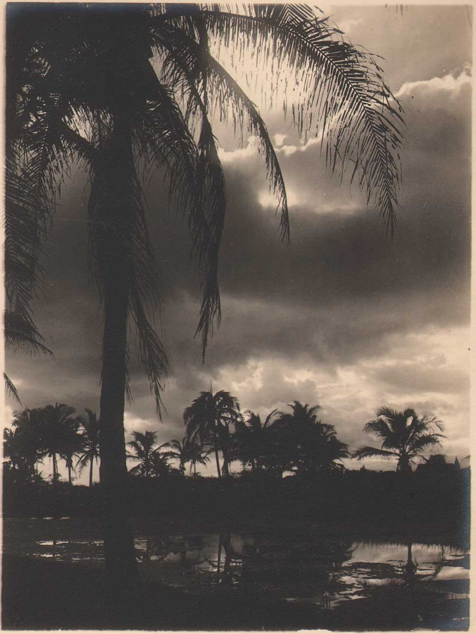 Fair is she in the sunset light…