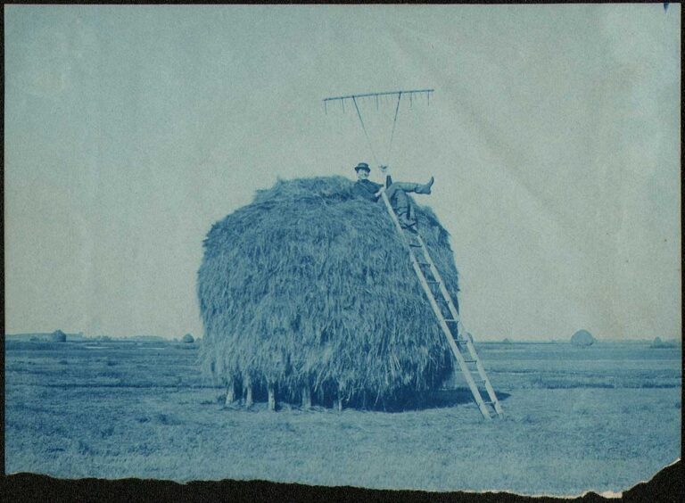 Farmhand atop Salt Marsh Haystack