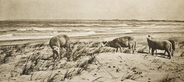 Im Fernen Westen Dänemarks