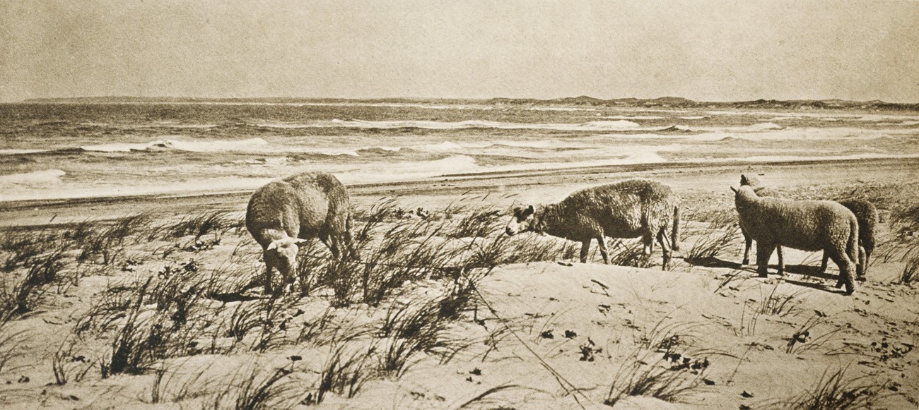 Im Fernen Westen Dänemarks