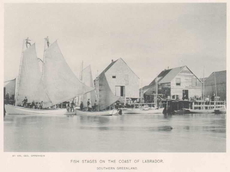 Fish Stages on the Coast of Labrador