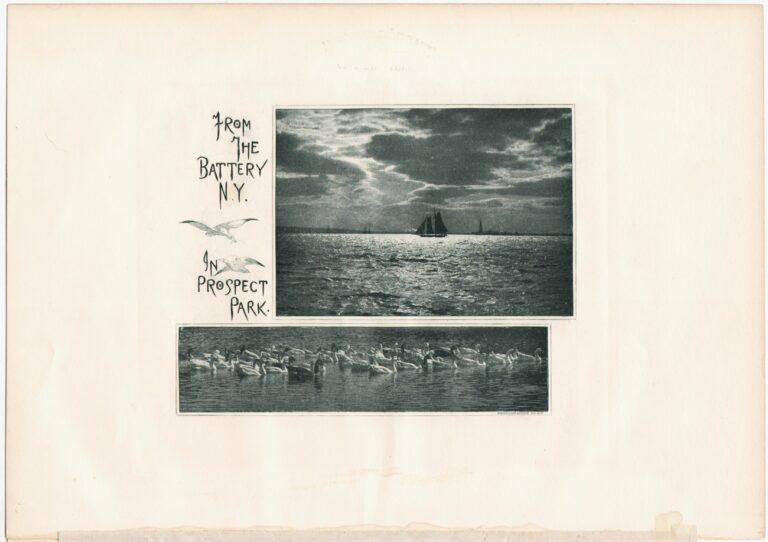 From the Battery N.Y. | In Prospect Park