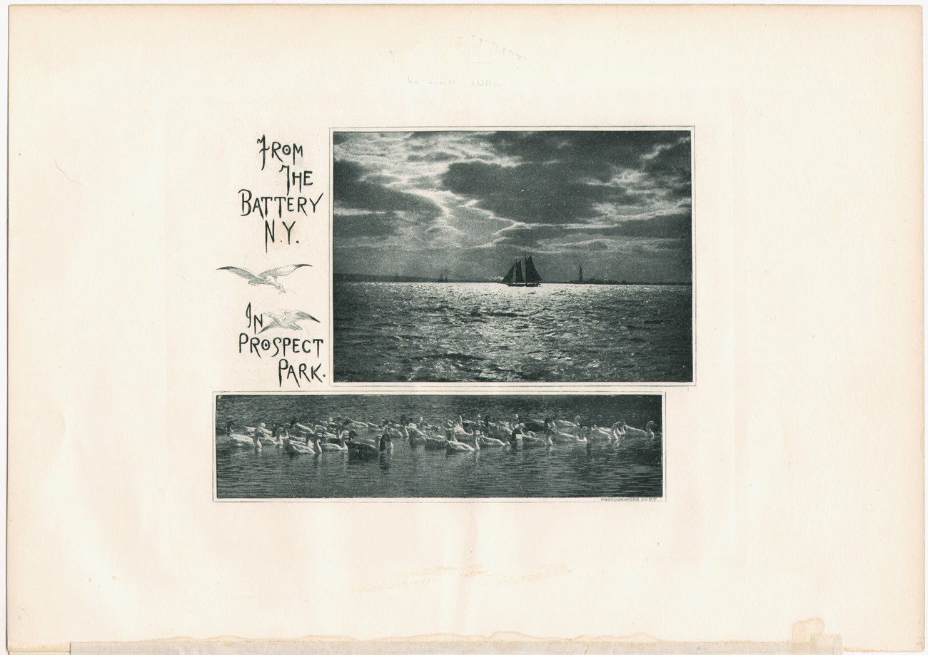 From the Battery N.Y. | In Prospect Park