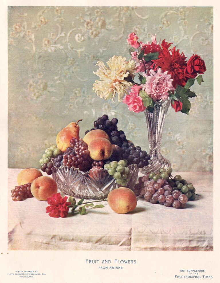Fruit and Flowers from Nature