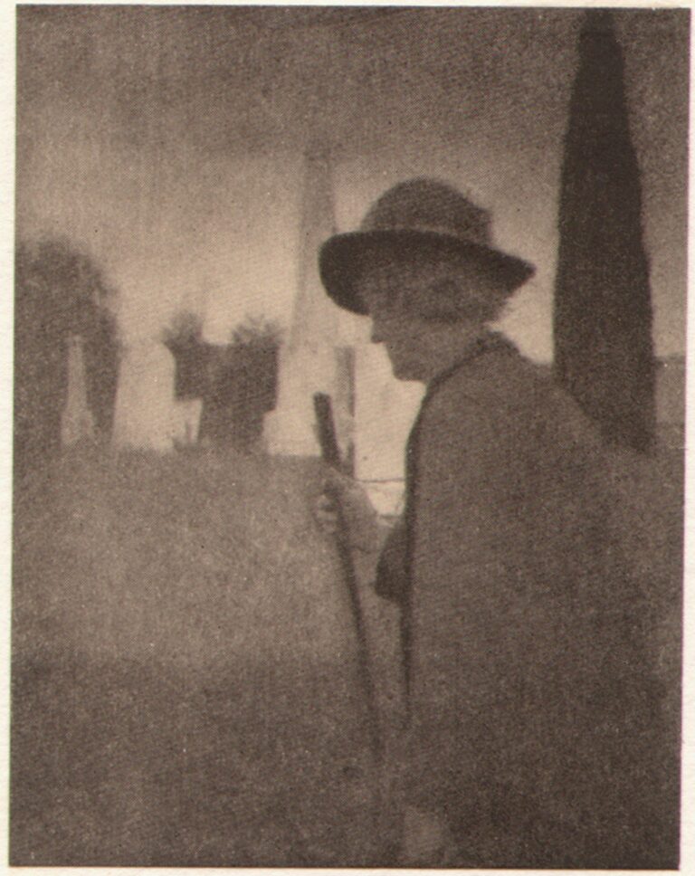 A Look Into the Future