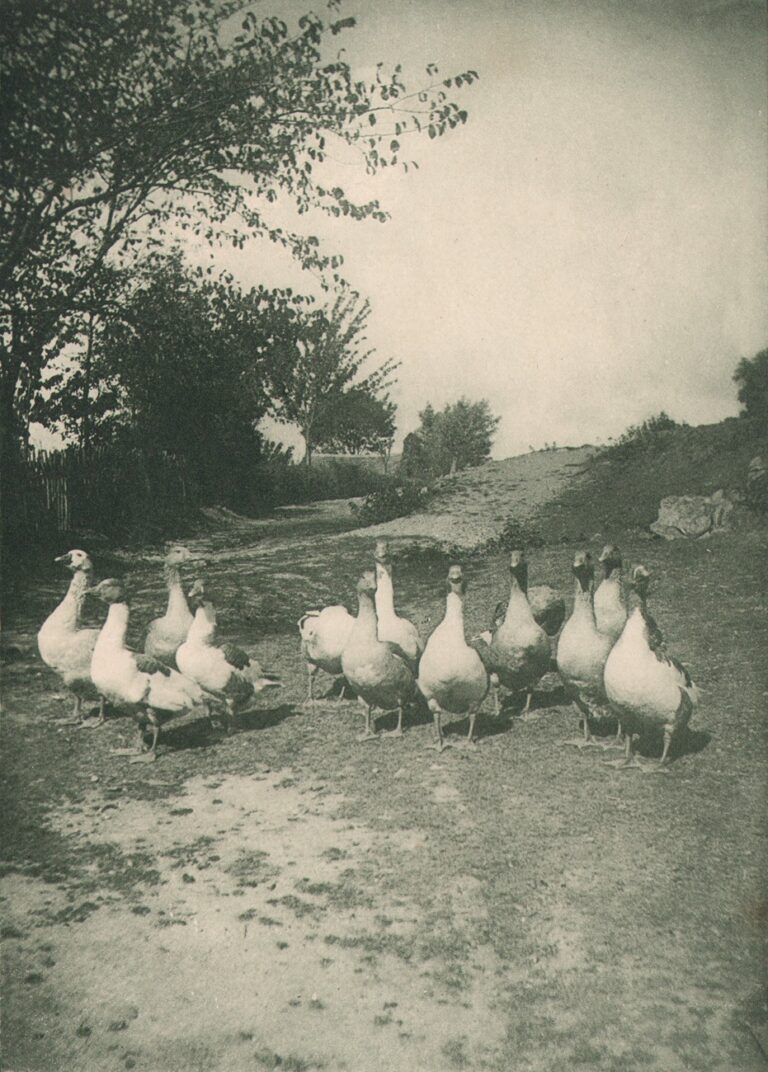 Meeting of a Highway Board