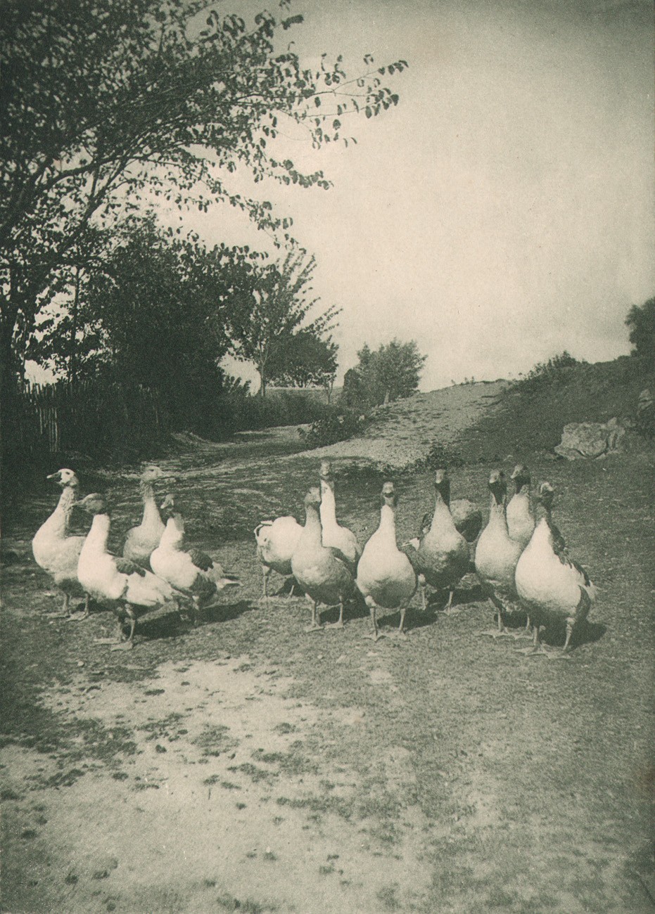 Meeting of a Highway Board