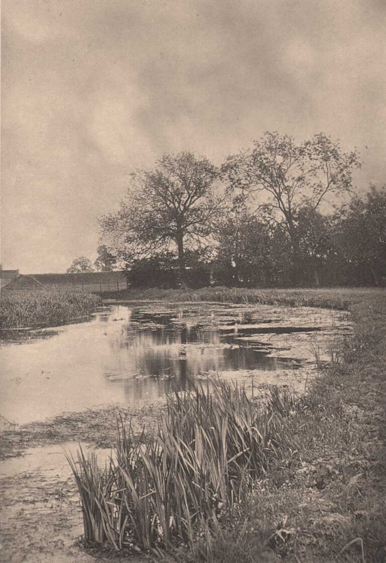 “A Sluggish River Choked By Sedge And Flag.”