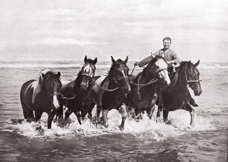 Baignade de Chevaux à la Mer