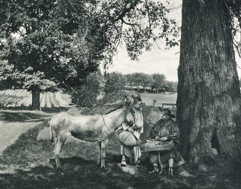 Gossip by the Wayside