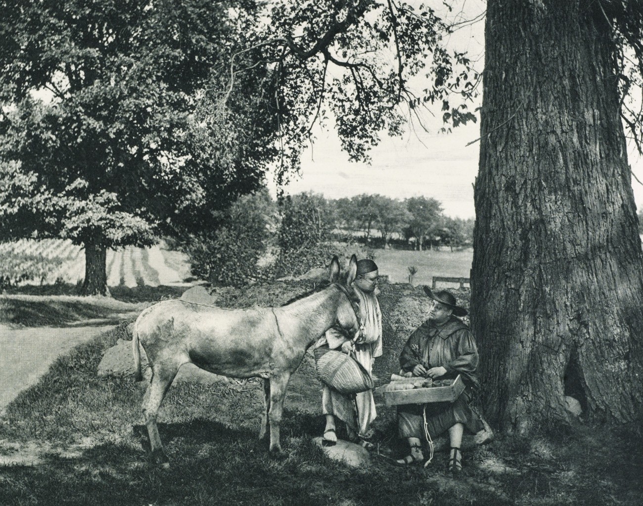 Gossip by the Wayside