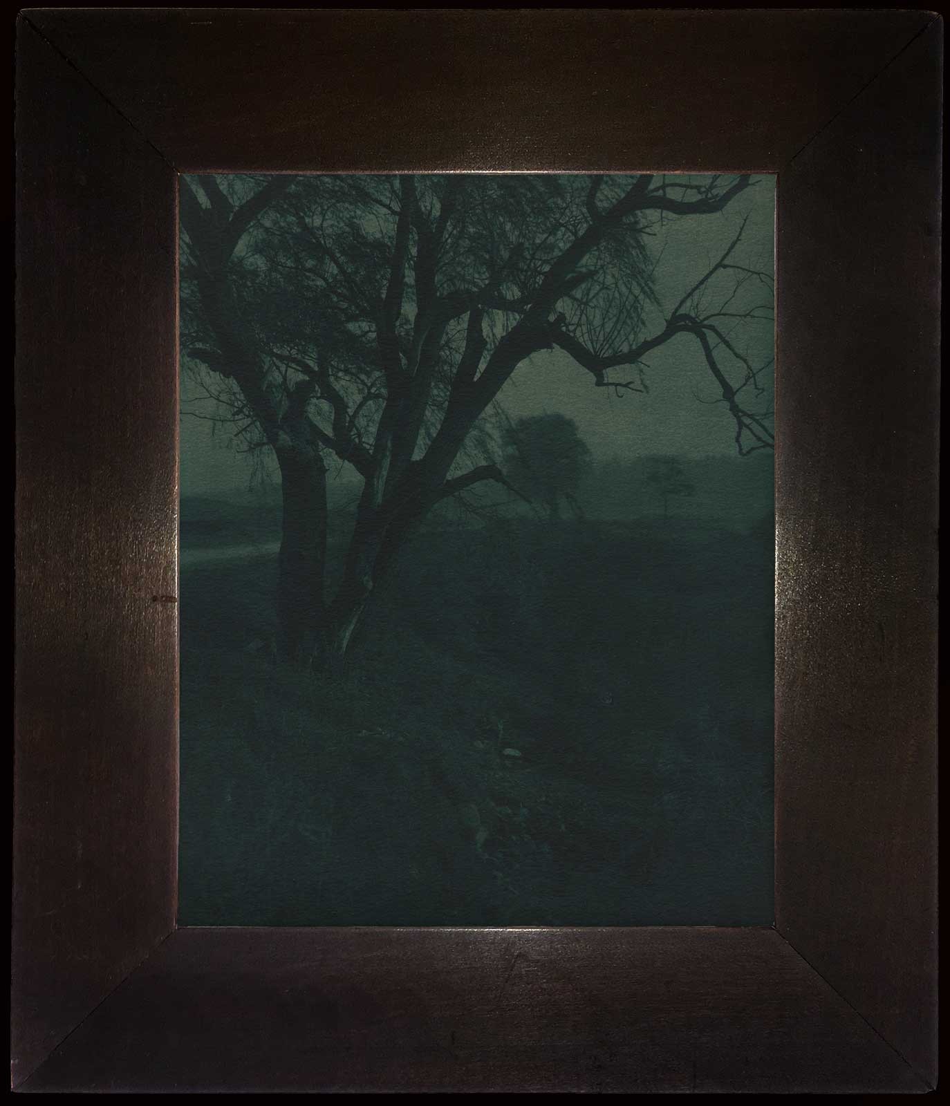 Landscape in Green Carbon