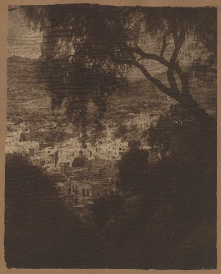 A Bit of Guanajuato and the Pepper Tree