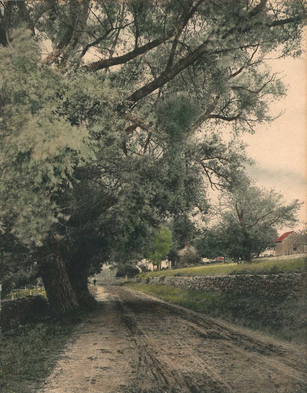 On the Road to Carmel: Hand-Colored