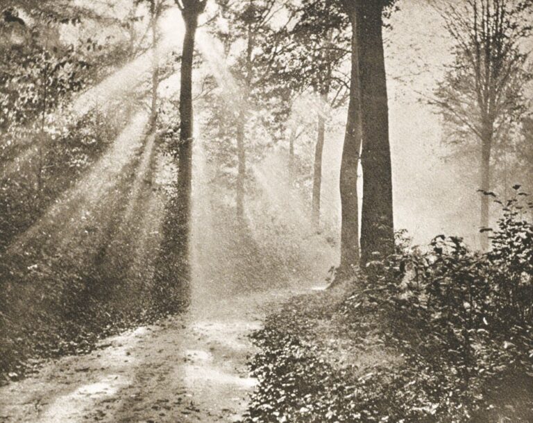 Matinée d’automne