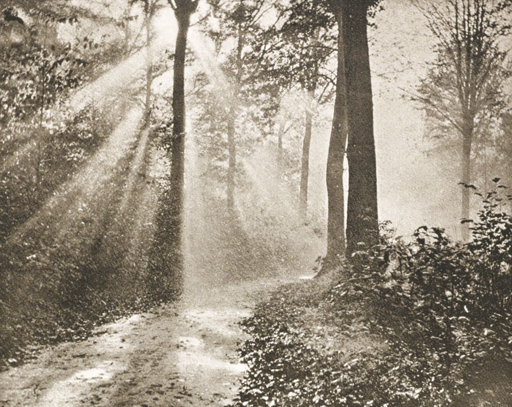 Matinée d’automne