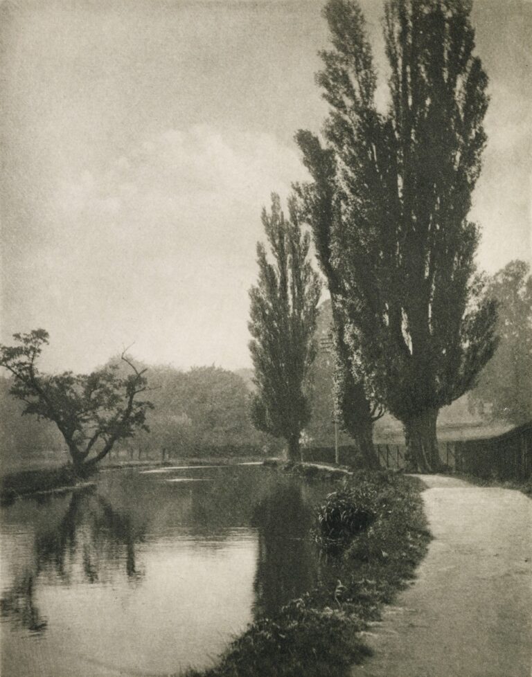 On the Banks of the Wey