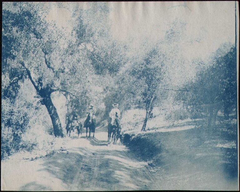 Horseback Trail Ride