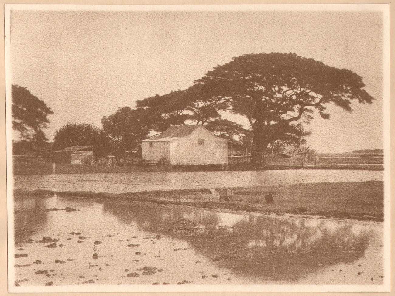 Hawaiian Farmhouse & Fields