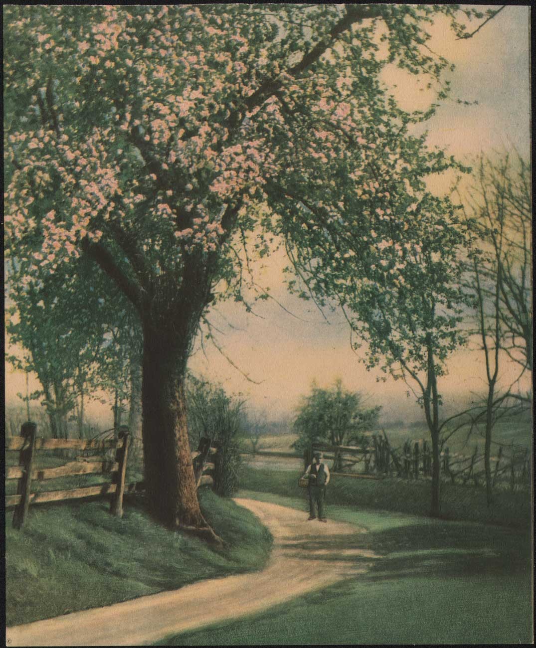 In Apple Blossom Time