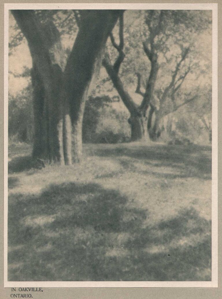 In Oakville, Ontario