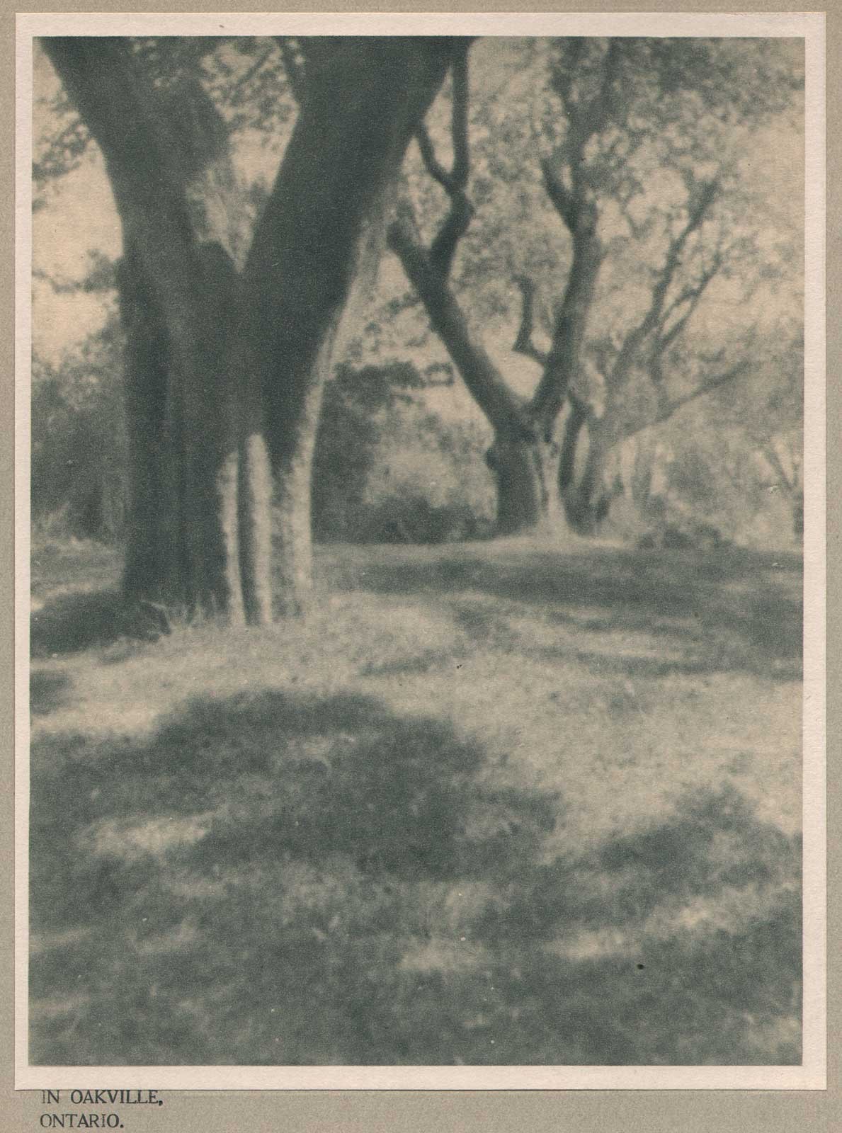 In Oakville, Ontario