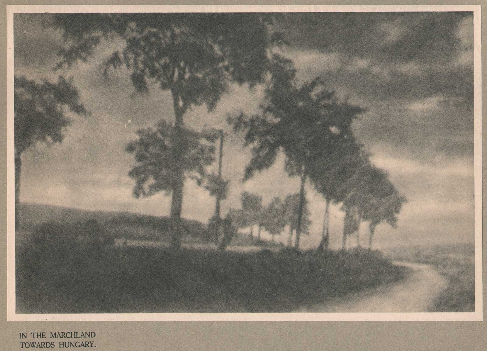 In the Marchland Towards Hungary